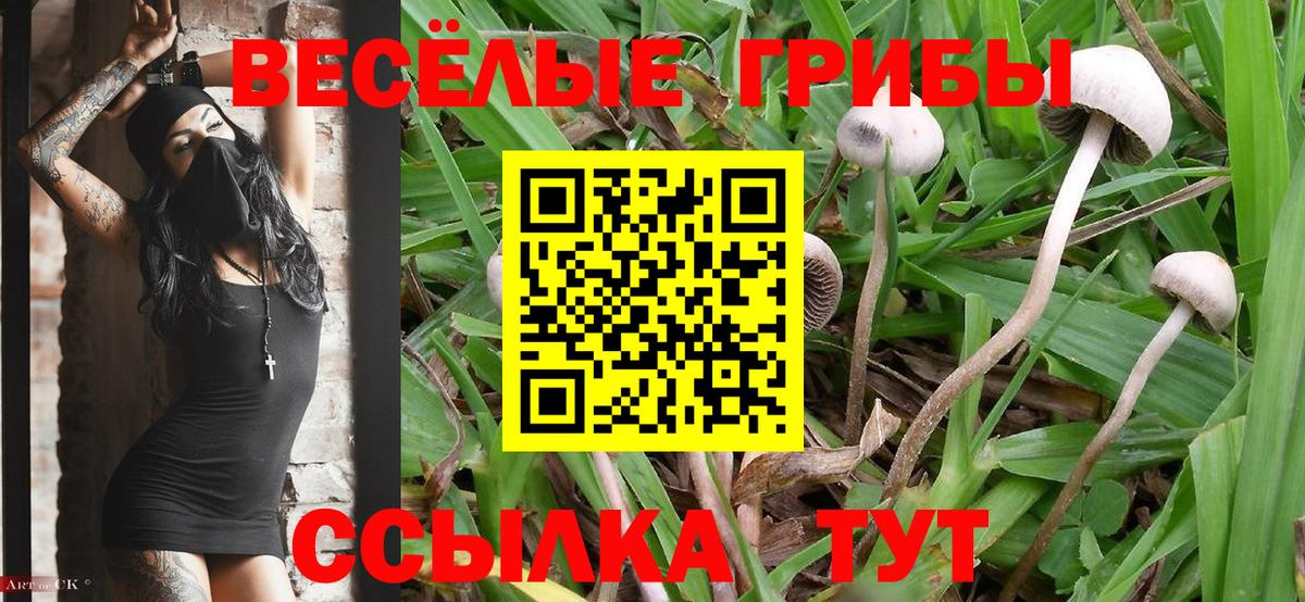 Псилоцибиновые грибы MAGIC MUSHROOMS  Вход с VPN  Алексеевка 